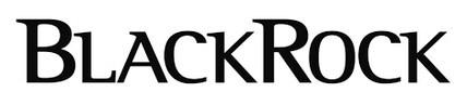 Blackrock International Ltd